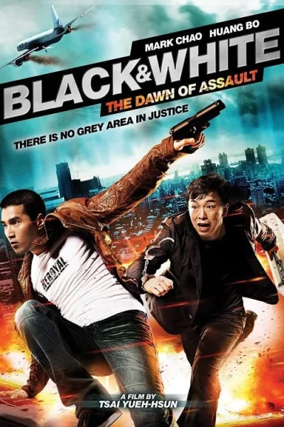 Black and White The Dawn of Assault (2012) คู่มหาประลัย อุบัติการณ์ถล่มเมือง โปสเตอร์