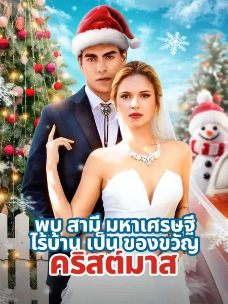 พบสามีมหาเศรษฐีไร้บ้านเป็นของขวัญคริสต์มาส โปสเตอร์