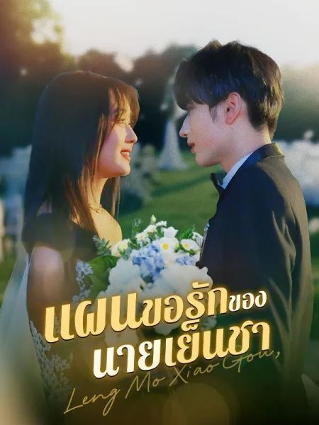 แผนขอรักของนายเย็นชา โปสเตอร์