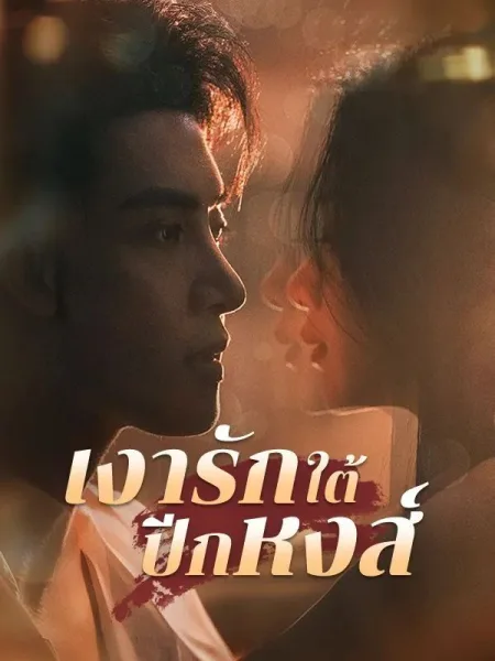 เงารักใต้ปีกหงส์ โปสเตอร์