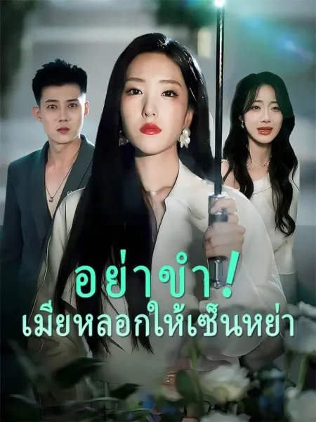 อย่าขำเมียหลอกให้เซ็นหย่า โปสเตอร์