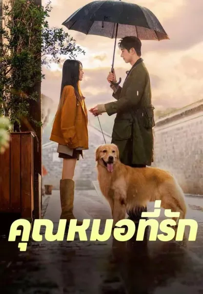 คุณหมอที่รัก โปสเตอร์