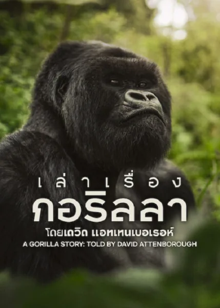 A Gorilla Story (2026) เล่าเรื่องกอริลลา โดยเดวิด แอทเทนเบอเรอห์ เซอร์เดวิด โปสเตอร์