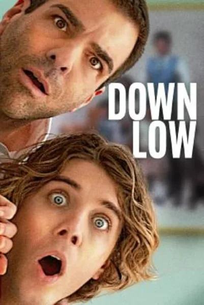 Down Low โปสเตอร์