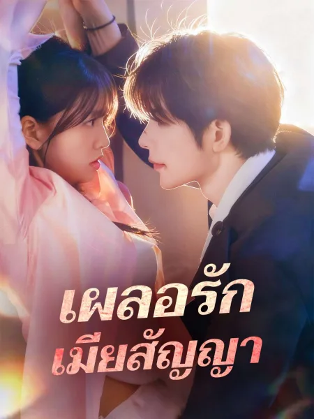 เผลอรักเมียสัญญา โปสเตอร์