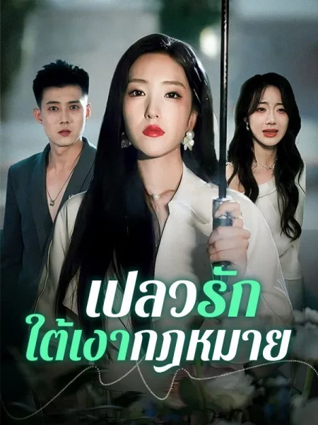 เปลวรักใต้เงากฎหมาย โปสเตอร์