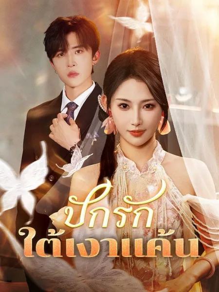 ปักรักใต้เงาแค้น โปสเตอร์