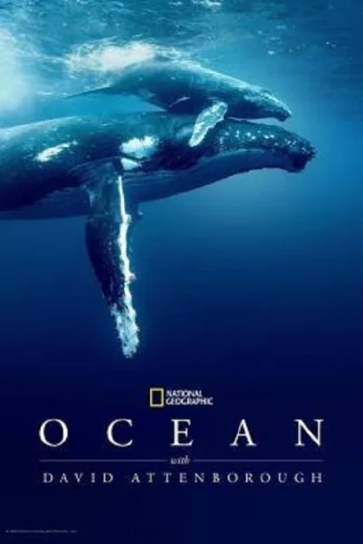 Ocean with David Attenborough โปสเตอร์