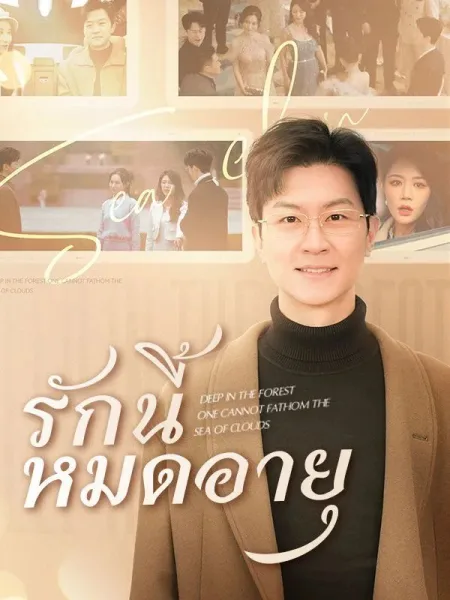 รักนี้หมดอายุ โปสเตอร์