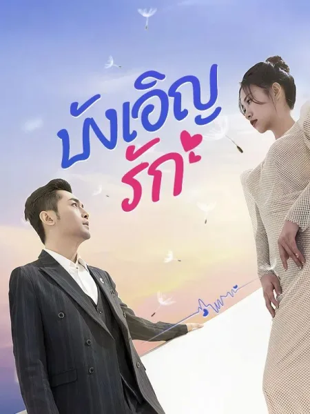 บังเอิญรัก โปสเตอร์