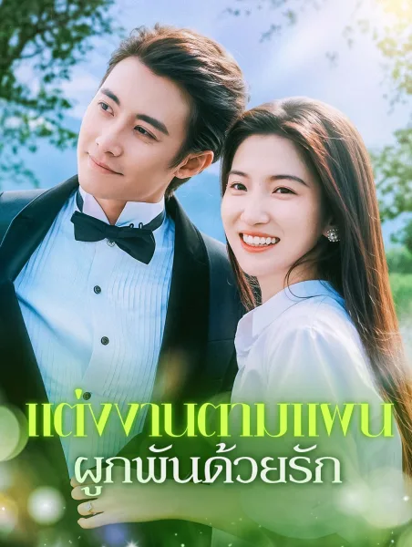 แต่งงานตามแผนผูกพันด้วยรัก โปสเตอร์