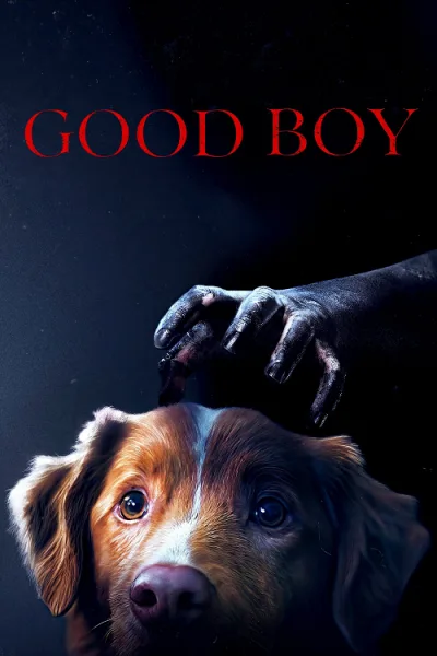 Good Boy (2025) มะหมาเห็นผี โปสเตอร์