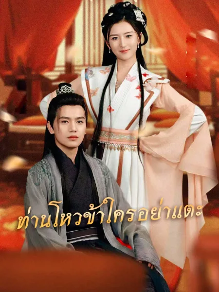 ท่านโหวข้าใครอย่าแตะ โปสเตอร์