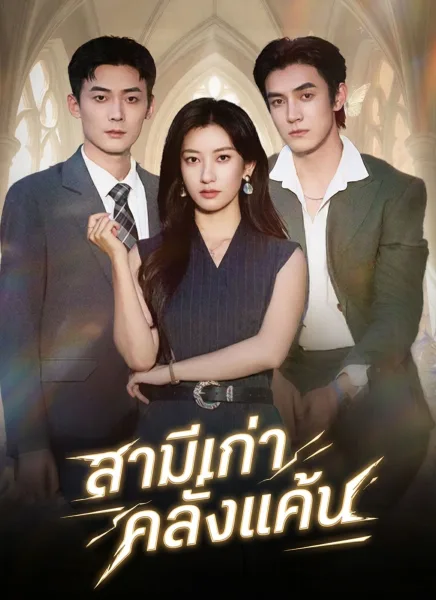 สามีเก่าคลั่งแค้น โปสเตอร์