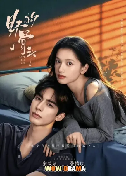Love for You (2026) รักสำหรับคุณ โปสเตอร์