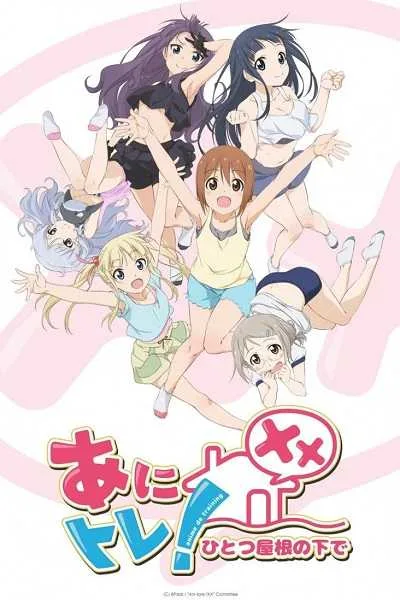 Ani Tore! XX โปสเตอร์