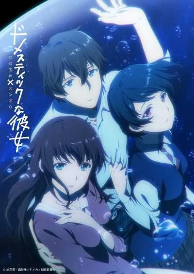 Domestic na Kanojo บทเรียนรักเส้นทางหัวใจ โปสเตอร์