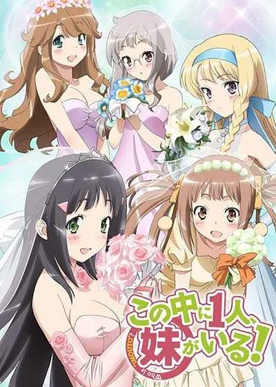 Kono Naka ni Hitori Imouto ga Iru! เธอน่ะหรือคือน้องสาวผม! โปสเตอร์