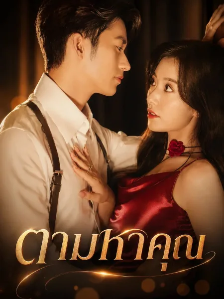 ตามหาคุณ โปสเตอร์