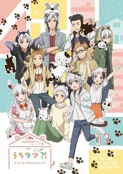 Uchi Tama?! Uchi no Tama Shirimasen ka? ทามะและผองเพื่อน โปสเตอร์