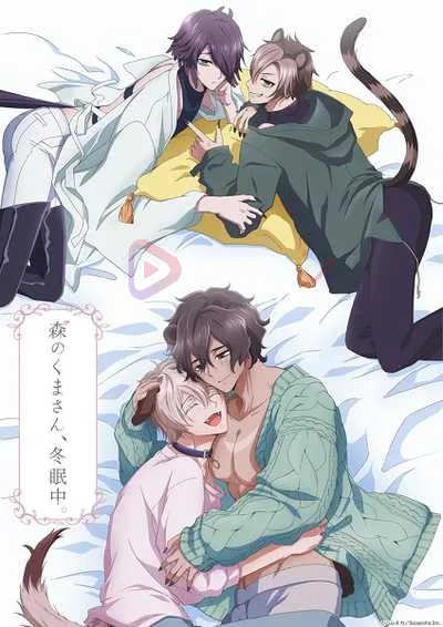 Mori no Kuma-san, Toumin-chuu. โปสเตอร์