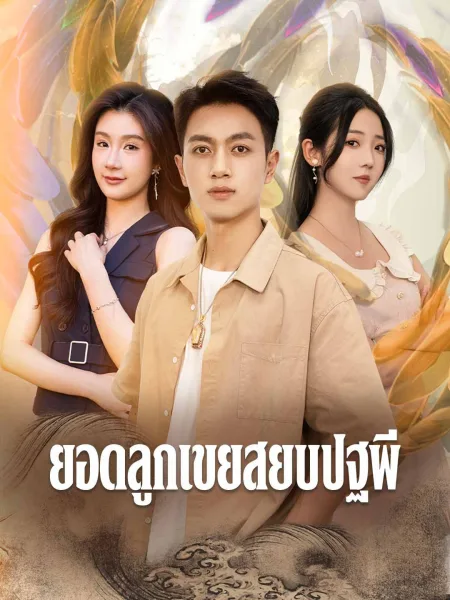 ยอดลูกเขยสยบปฐพี โปสเตอร์