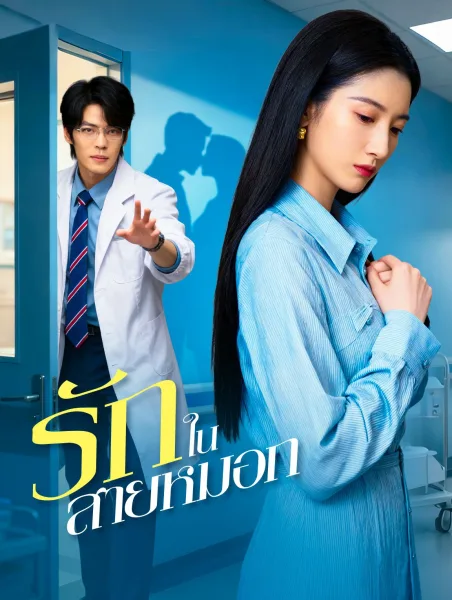 รักในสายหมอก โปสเตอร์