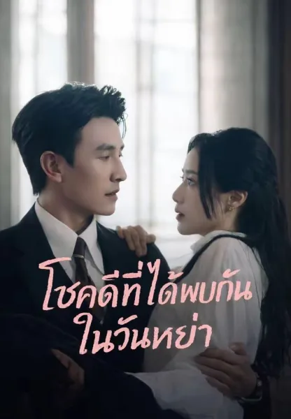 โชคดีที่ได้พบกันในวันหย่า โปสเตอร์