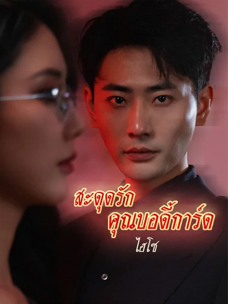 สะดุดรักคุณบอดี้การ์ดไฮโซ โปสเตอร์