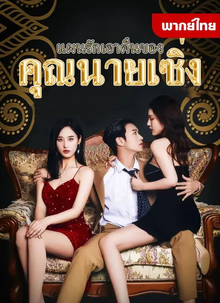 แผนรักเอาคืนคุณนายเซิ่ง โปสเตอร์