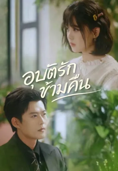อุบัติรักข้ามคืน โปสเตอร์