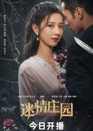 Miss Mystery (2023) ปริศนาจำแลงรัก โปสเตอร์