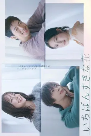 Ichiban Sukina Hana (2023) ดอกไม้ที่ไร้ช่อ โปสเตอร์