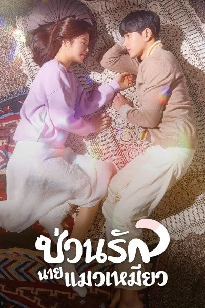Meow, the Secret Boy (2020) ป่วนรักนายแมวเหมียว โปสเตอร์