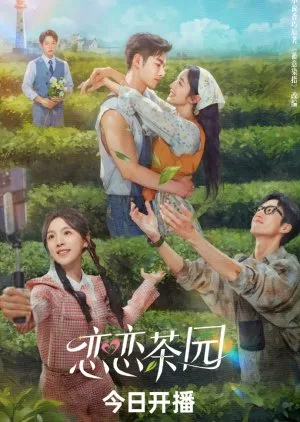 Love in the Tea Garden (2024) รักเกิดในสวนชา (ซับไทย) โปสเตอร์