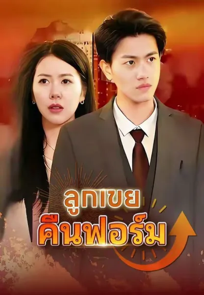 ลูกเขยคืนฟอร์ม โปสเตอร์