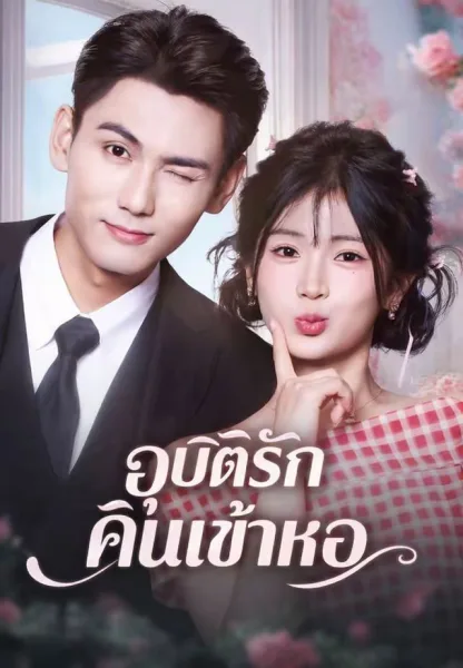 อุบัติรักคืนเข้าหอ โปสเตอร์
