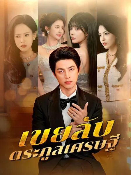 เขยลับตระกูลเศรษฐี โปสเตอร์