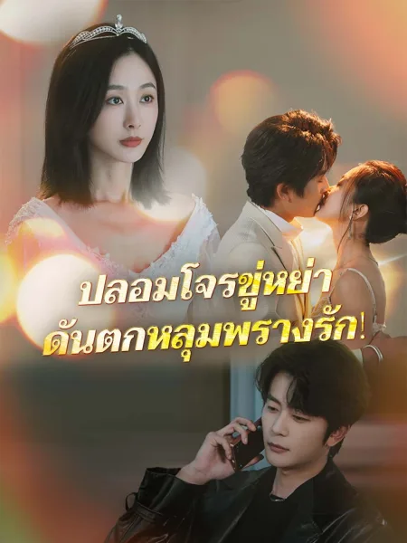 ปลอมโจรขู่หย่าดันตกหลุมพรางรัก โปสเตอร์