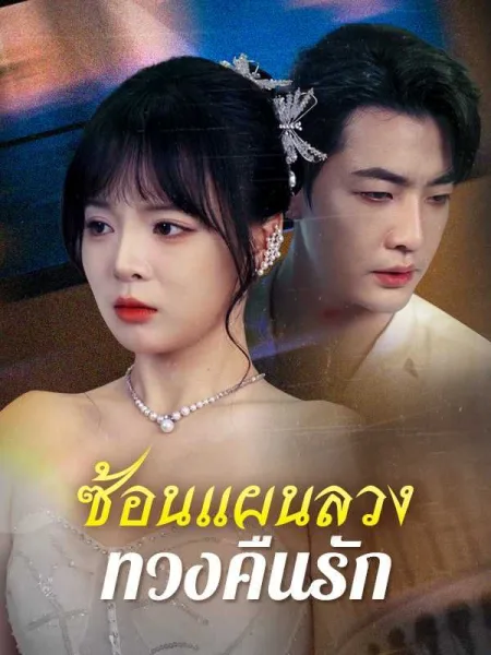 ซ้อนแผนลวงทวงคืนรัก โปสเตอร์