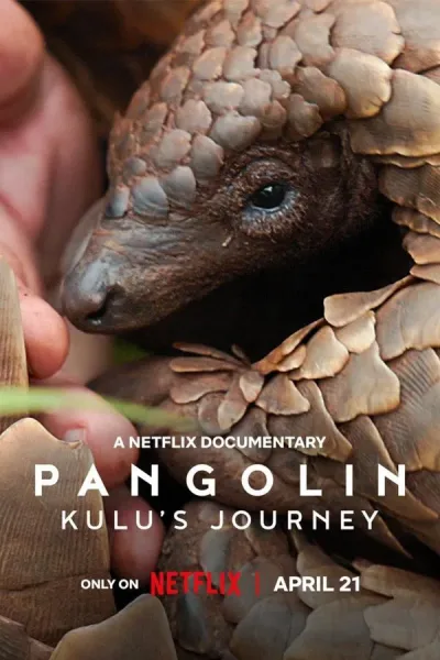 Pangolin: Kulu’s Journey (2025) การเดินทางของคูลู โปสเตอร์