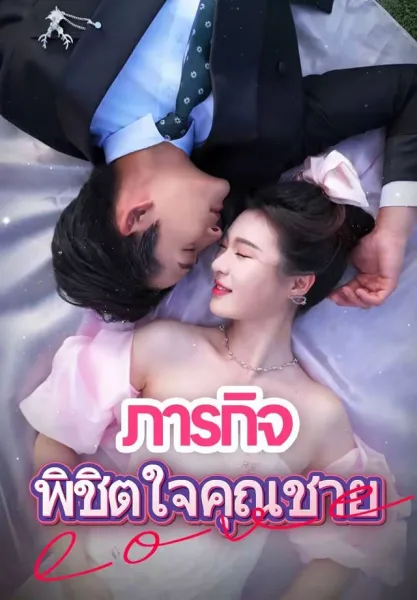 ภารกิจพิชิตใจคุณชาย โปสเตอร์