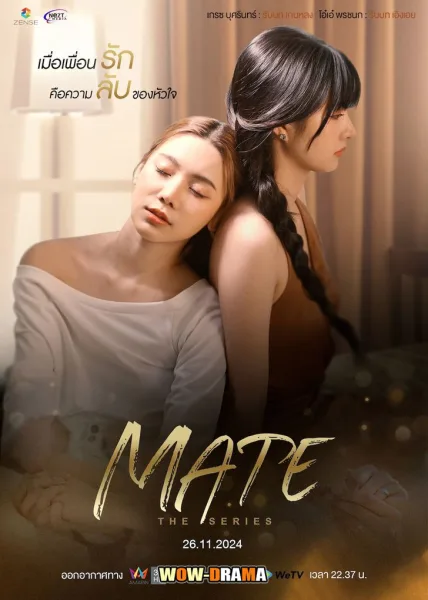 mate the series (2024) เมท เดอะ ซีรี่ส์ EP.1-12 END โปสเตอร์