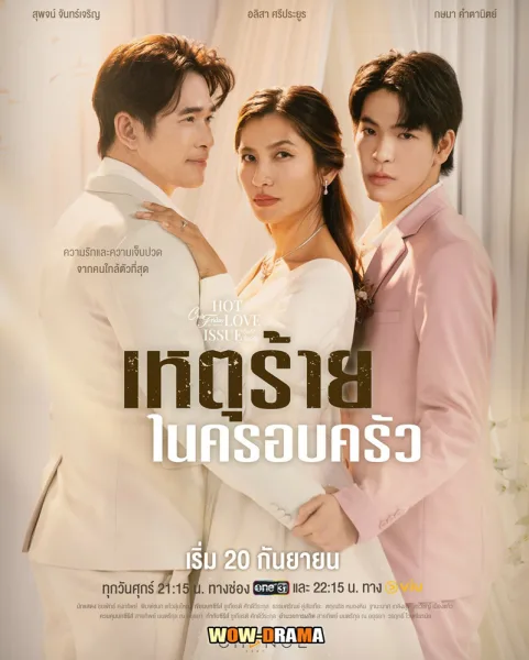 Domestic Incident (2024) เหตุร้ายในครอบครัว โปสเตอร์