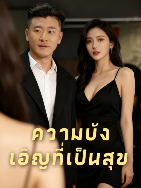 ความบังเอิญที่เป็นสุข โปสเตอร์