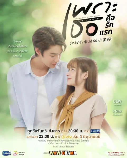 A Love So Beautiful (2024) เพราะเธอคือรักแรก (ทุกตอน) โปสเตอร์