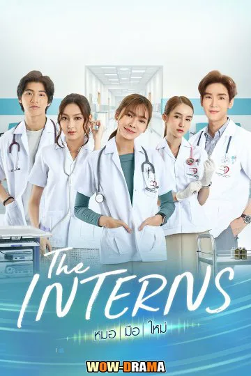 หมอมือใหม่ The Interns (2023) ตอนที่ 1-16 จบ โปสเตอร์
