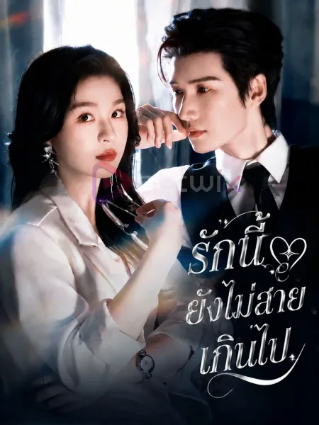 รักนี้ยังไม่สายเกินไป โปสเตอร์