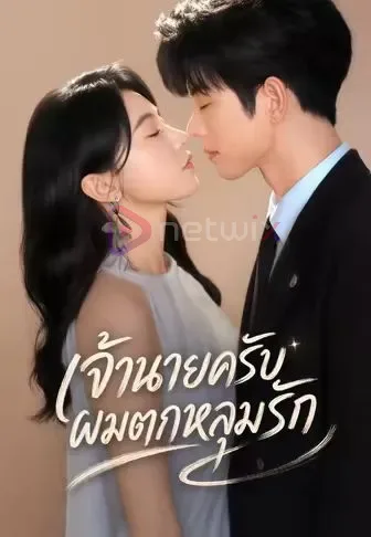 เจ้านายครับผมตกหลุมรัก โปสเตอร์