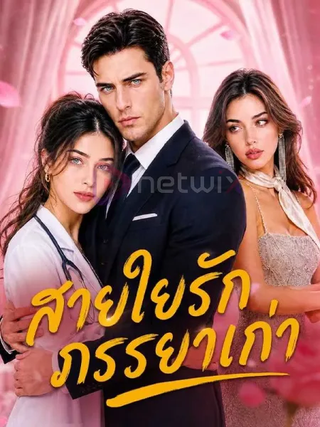 สายใยรักภรรยาเก่า โปสเตอร์